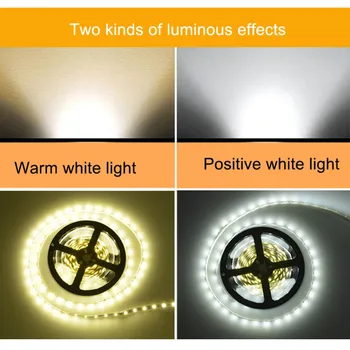 

LED Flexible Strip Motion Sensor Night Light Human Body Induction Nightlight LED Strip Bed Night SDF-SHIP