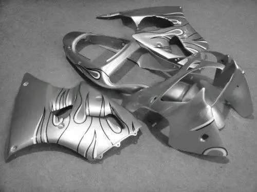 

Injection mold Fairing kit for KAWASAKI Ninja ZX6R 636 00 01 02 ZX 6R 2000 2001 2002 ABS Flames silver Fairings set+gifts KG20