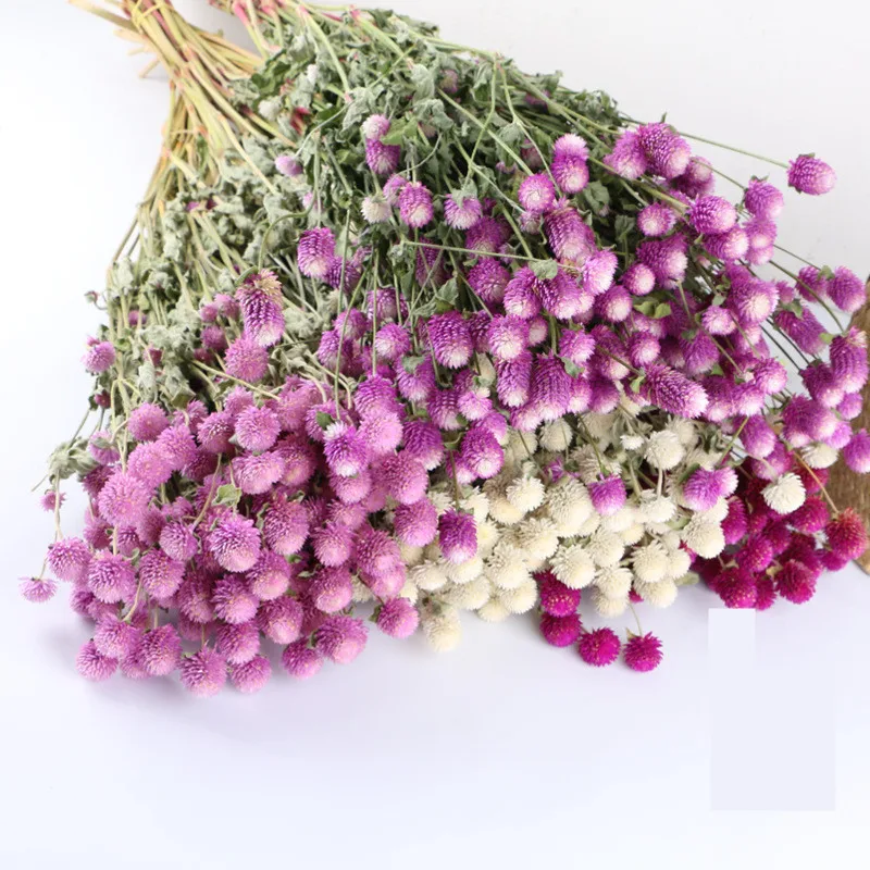 Preserved Fresh Dried Red Flower Branch For Wedding Home Party Holiday Decorate DIY Bouquet Project Accessory SAD69 (2)