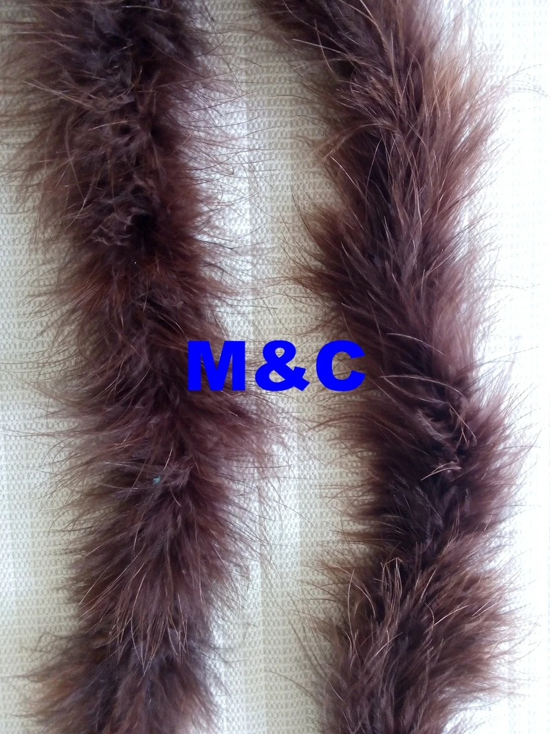 IMG20141017111853_