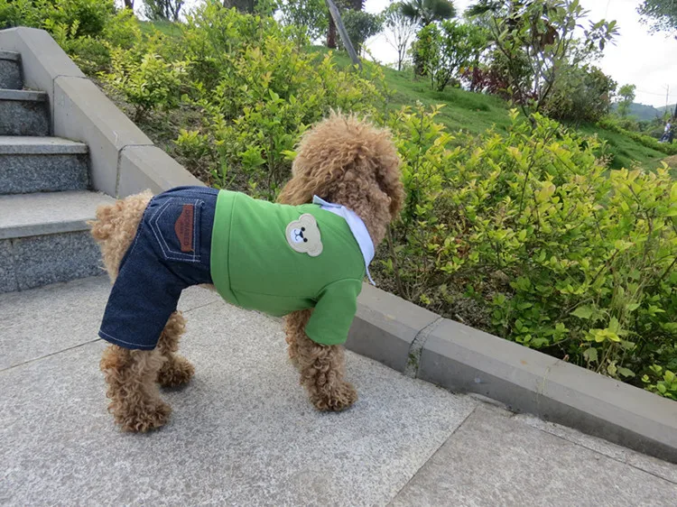 dog clothes (1)
