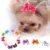10 шт./компл. Pet Cat Dog Small Puppy Pet Dog Rhinestone Шпилька Для Волос Бант Резинки Груминг Маленький Щенок Кошки Клипы Аксессуары