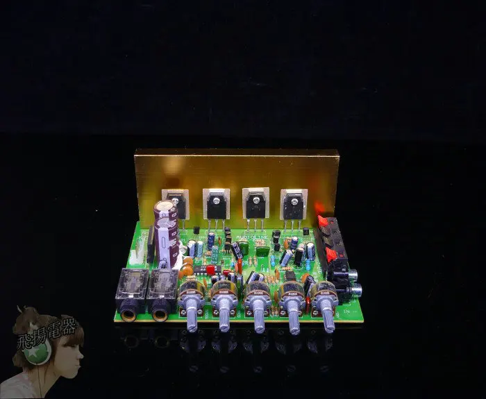 PT299 Reverberation Chip with Cara OK Microphone Input Fever Power Amplifier Board Sound Effect Super Strength