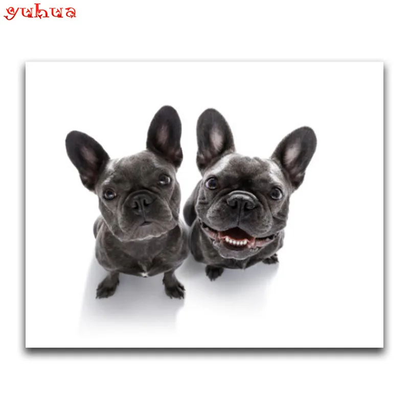 5D DIY Diamond painting Cross stitch Animal Round Diamond mosaic paintings Full Square Diamond embroidery dierlijk colorful dogs_