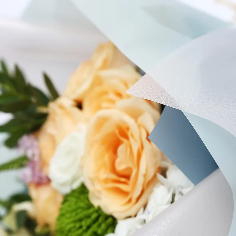 3934627290_1752601503