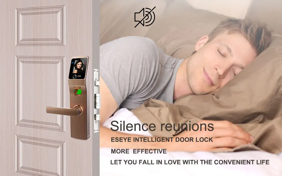 Electronic Locks