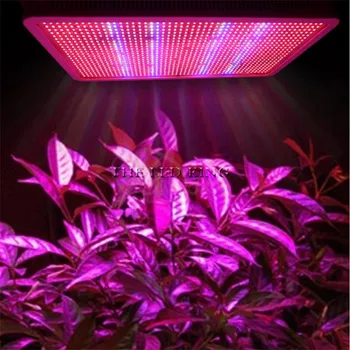 

Hotsale 1200W Led Grow Light For Indoor Plants Tent Green House Vegs Aquarium Garden Horticulture And Hydroponics Grow/Bloom