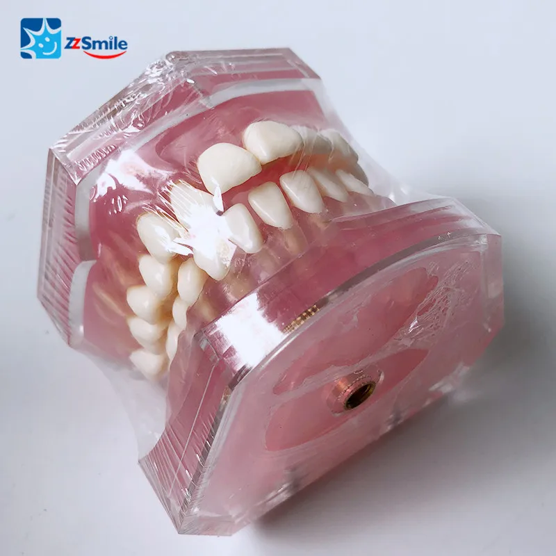  HTY