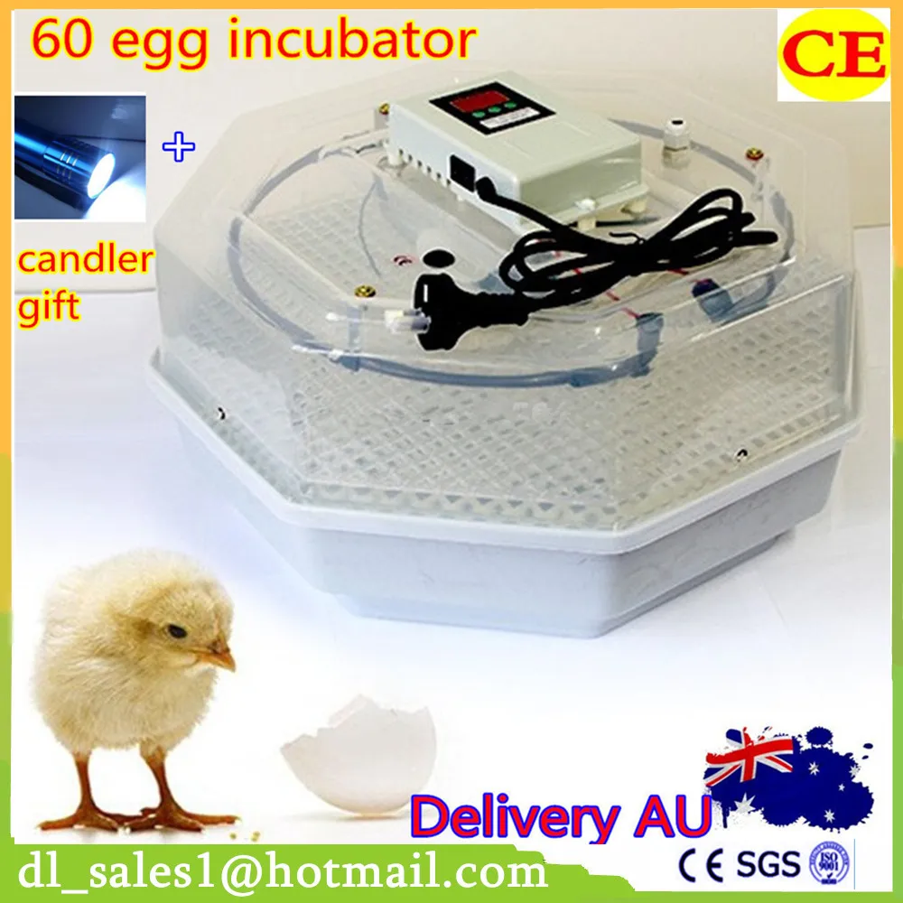 chicken incubator for sale chicken incubator for sale