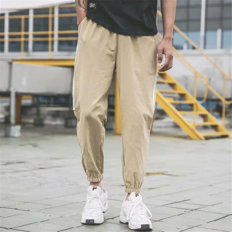 36020190507203406242