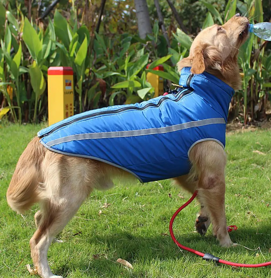 Зимняя одежда для больших собак, светоотражающее пальто для больших собак, куртка, теплый дизайнерский комбинезон для собак, поводок, Дырявые парки для собак Husky