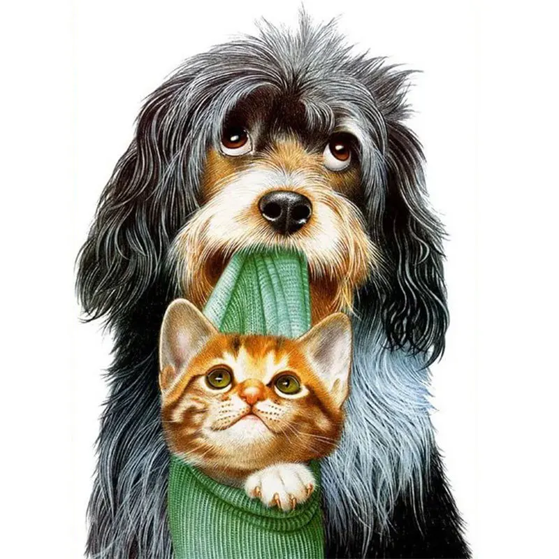 

5D DIY diamond painting cute black dog and yellow cat full square round diamond handmade mosaic bedroom decor chirldren gift
