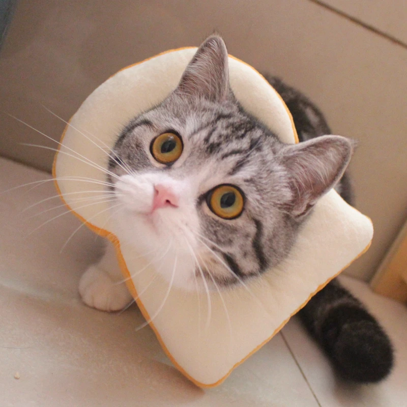 Bread-Wound-Healing-Neck-Collar-Medical-Protection-Ring-Soft-Edge-Elizabeth-Circle-Protective-Neck-Collar (4)