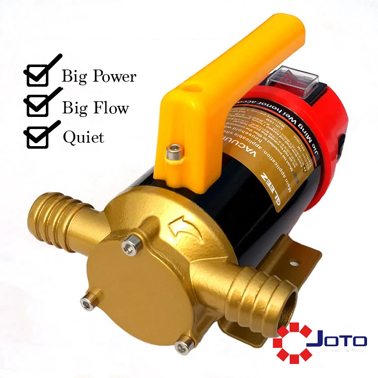 12V DC Oil Transfer Pump Reversible 12V Diesel Self priming Oil Pump-in