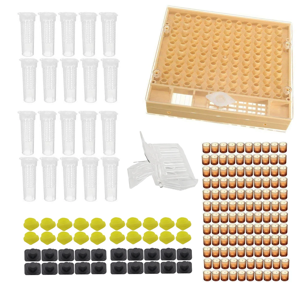 Complete queen rearing cup kit system bee beekeeping catcher box 100 cell/'cup Nz