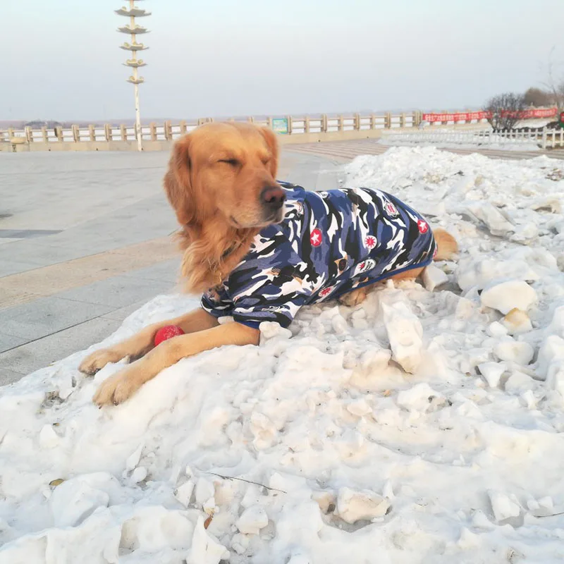 Золотистый ретривер Лабрадор одежда среднего и большого размера ...