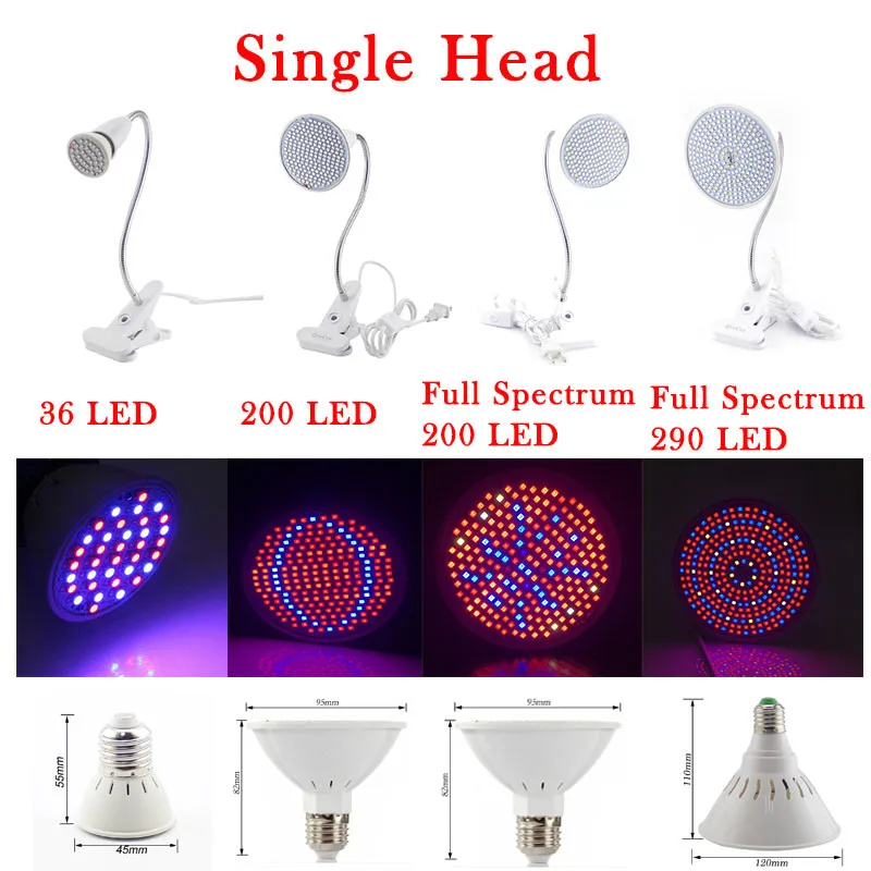 single head