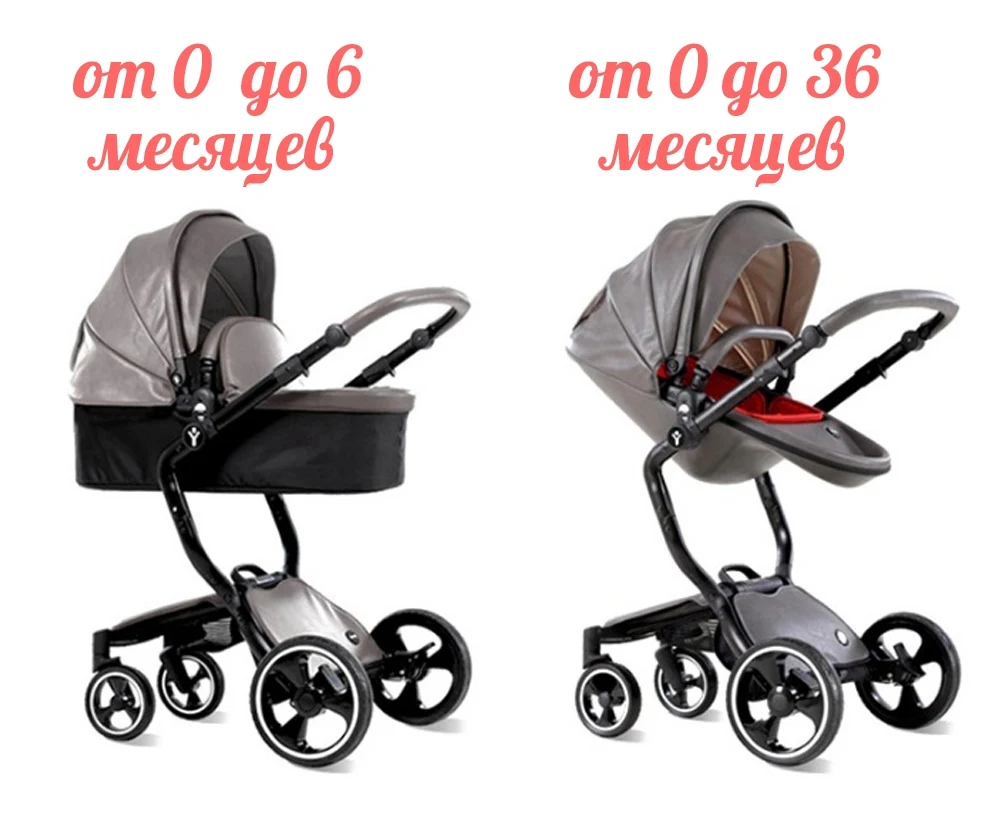 foofoo stroller