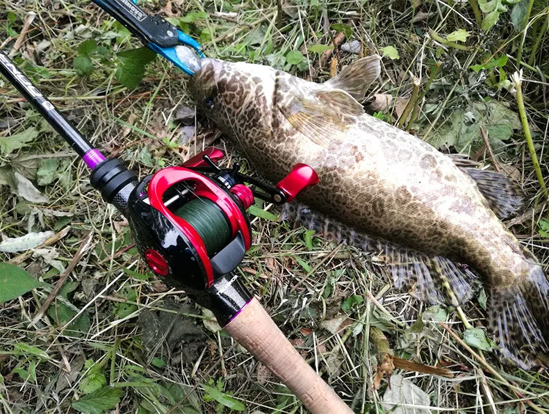 Carretilhas de pesca