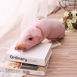 120cm pink pig Имитация спальный свинья плюшевая подушка животные плюшевые подушки для маленьких детей взрослых домашних животных укрепить диван кресло Декор друг подарок 50/70/90/120 см - Цвет: 120cm pink pig