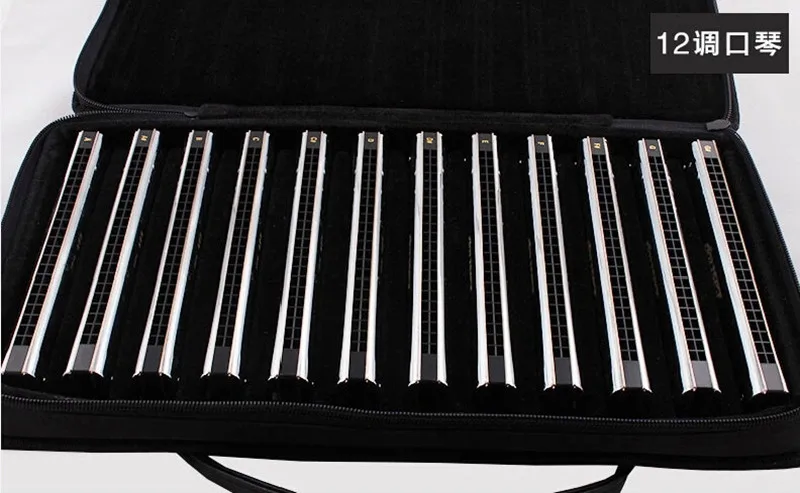 22 Отверстия гармошка Tremolo C A B D E FG F # G tune 12 набор Серебряная Easttop Harpa Tremolo|harmonica a|tremolo