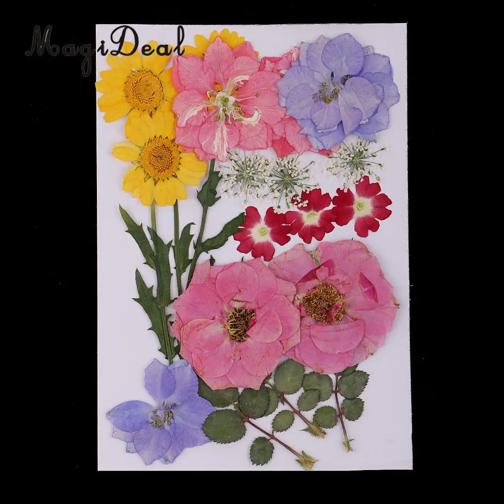 Multiple Real Pressed Leaves Natural Dried Flowers for Arts Crafts Scrapbooking Card Making Resin Jewelry Making Mold Filler