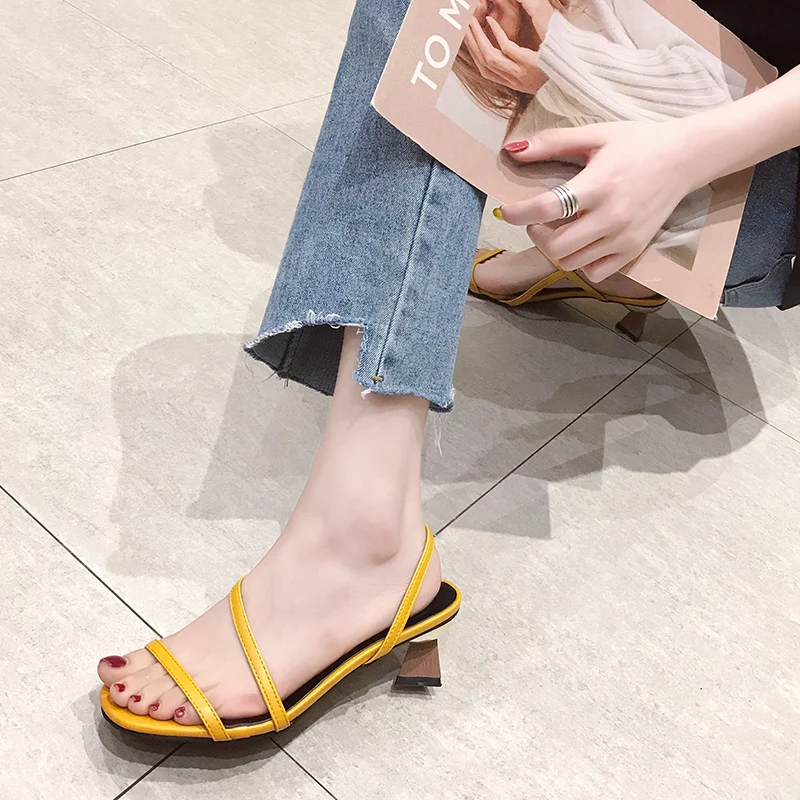 MNUM2902