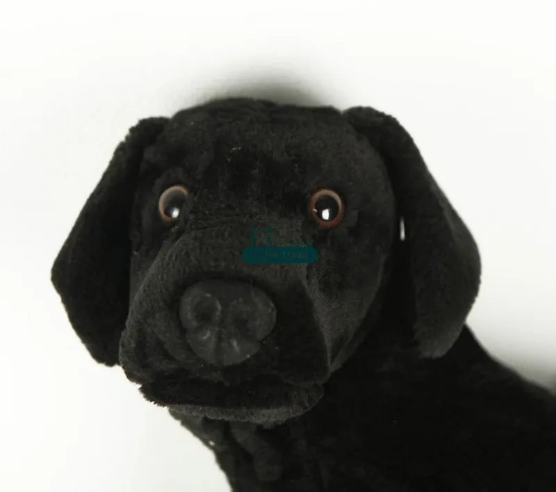 Dorimytrader 24'' 61cm Big Stuffed Soft Plush Cute Animal Labrador Retriever Dog Toy, Free Shipping DY60299 (1)
