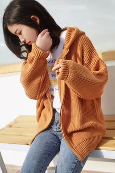 

Cashmere Sweater, Cap And Guard, Women's Spring And Autumn Long Sleeve Wool Thicker Jacket, Zipper Cardigan, Casual Sport