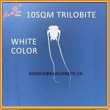 10 кв. м трилобитовый кайт, мягкий воздушный змей, воздушный змей для шоу, подъемник