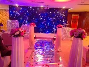 

3m by 3m Fireproof Velvet Wedding Backdrop With LED Light/Backdrop For Event/LED Curtain