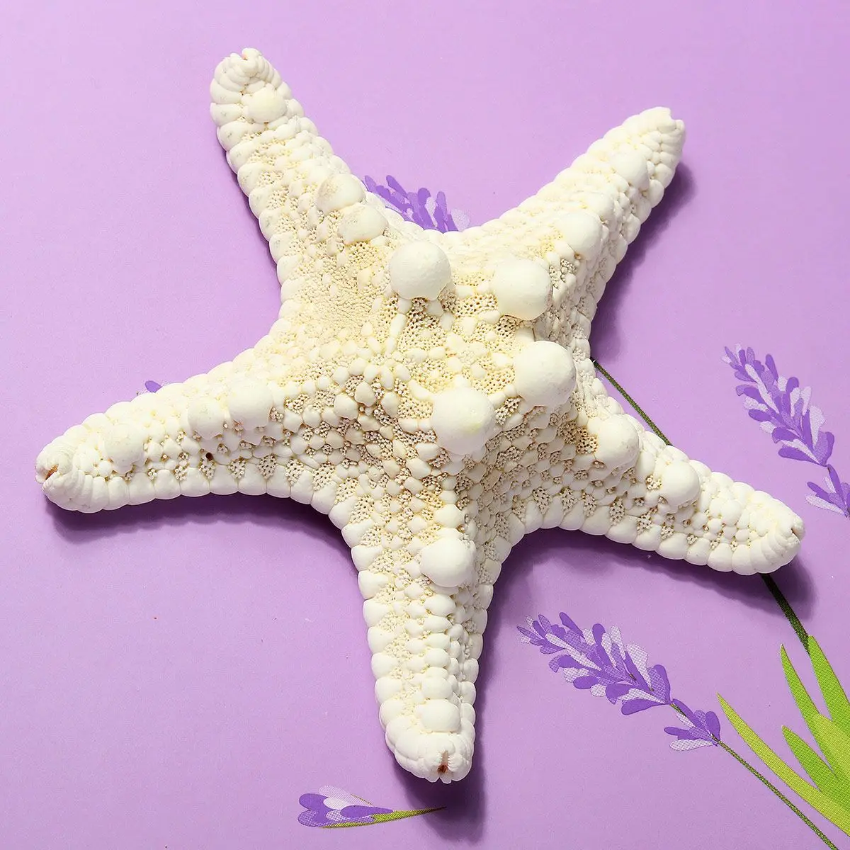 

6-7cm Natural Crafts Decor Sea Star Shell Fish Tank Aquarium Ornaments Decorative Wedding Party Home Decor Artificial Sea Star