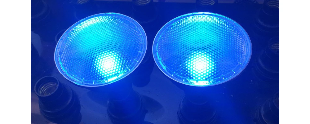 BLUE1