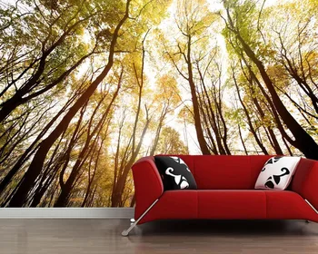 

Papel de parede Autumn forest on a sunny day natural 3d wallpaper,living room TV sofa wall bedroom restaurant bar office mural