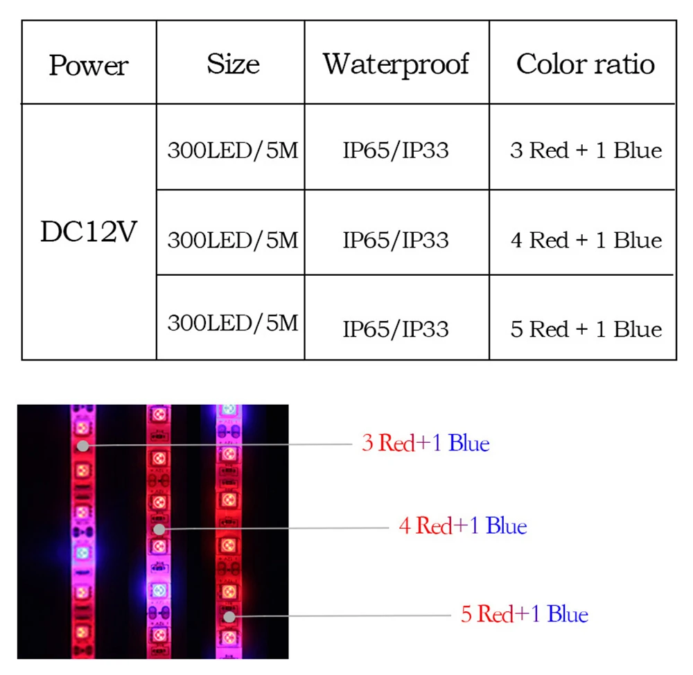 LED31_04