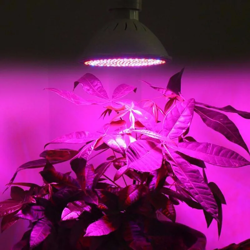 1 шт. 200 светодио дный E27 завод расти лампочки растущие лампы для растений гидропоники посева цветок Крытый Овощной Зеленый дом