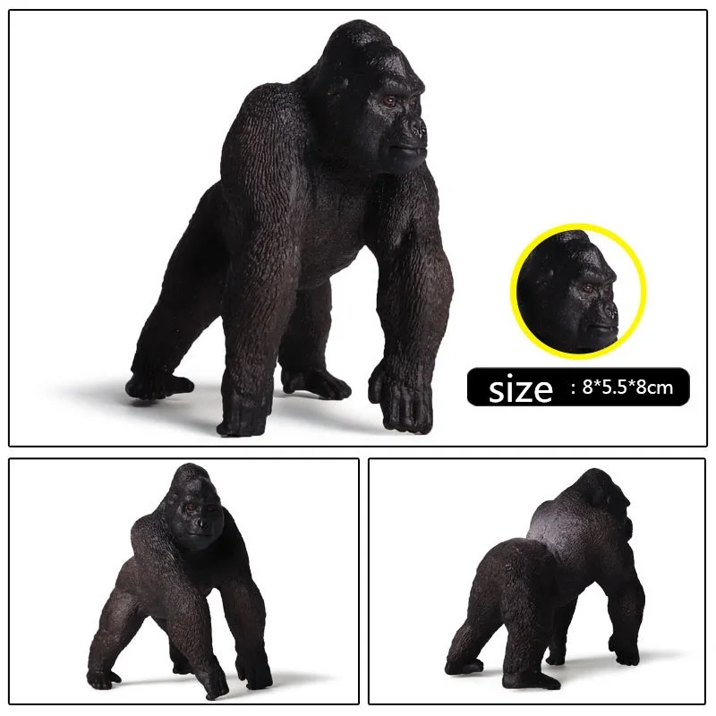 Gorilla (2)