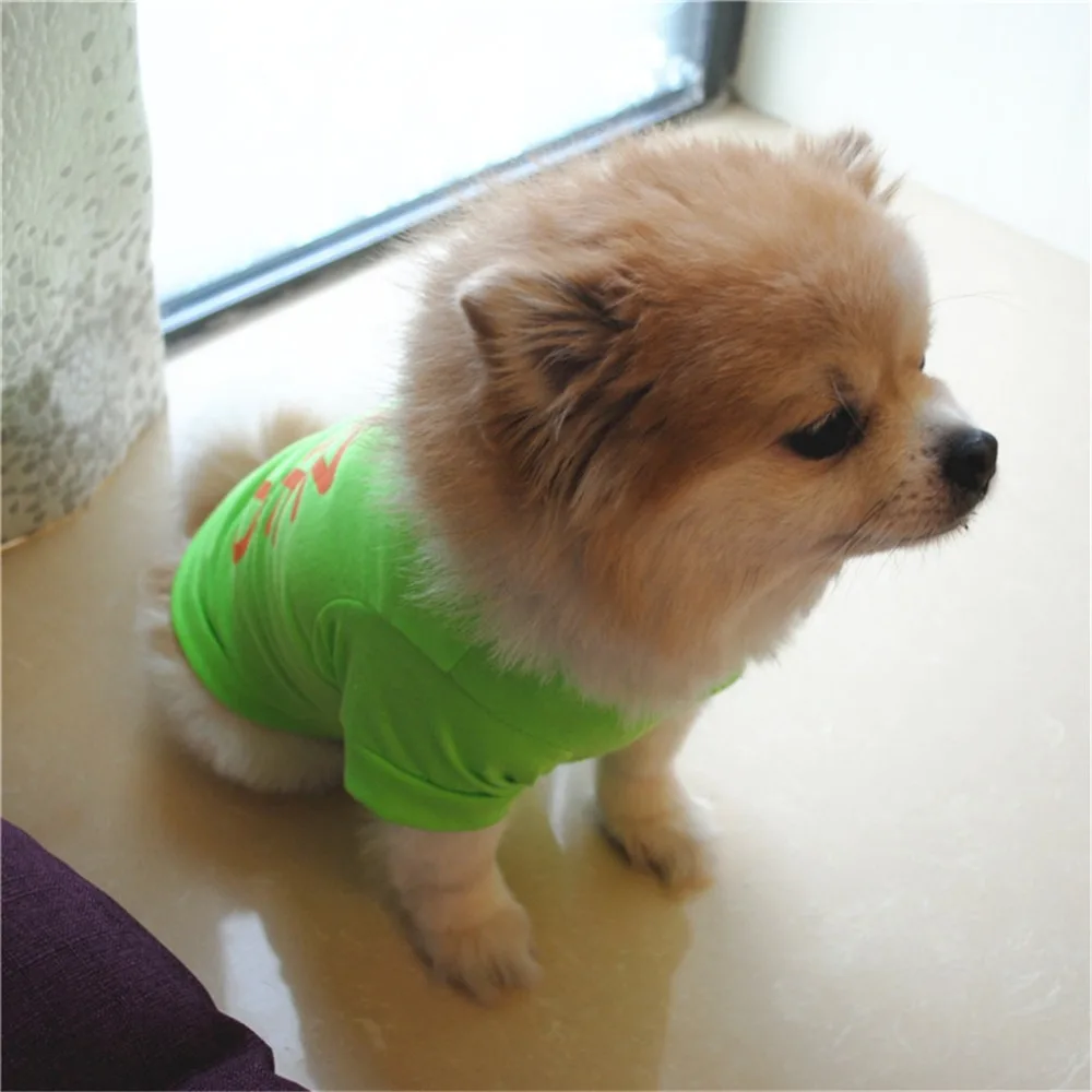 4578993478_361259826