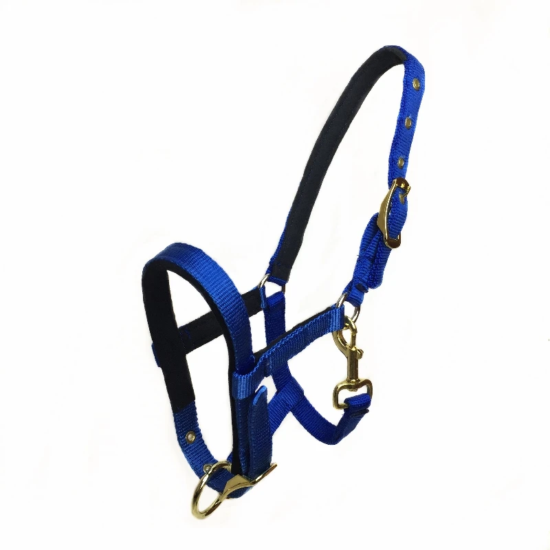 Outdoor headstall ركوب الخيل سباق نسج أحزمة اللجام تعديل حجم m/l الرسن التزويد بحصان أدوات معدات paardensport Outdoor headstall ركوب الخيل سباق نسج أحزمة اللجام تعديل حجم m/l الرسن التزويد بحصان أدوات معدات paardensport