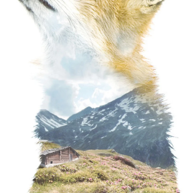 il_fullxfull.690917517_a625