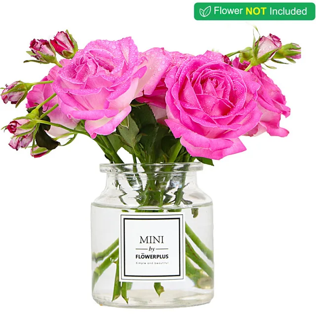 Mini-flower-vases-for-homes-home-decoration-accessories-modern-vases-for-flowers-Wedding-Decoration-Flowerpot.jpg_640x640 (3)