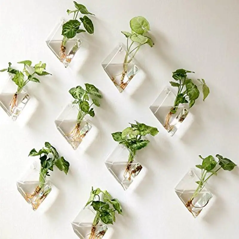 LanLan креативная настенная стеклянная ваза для гидропонных растений, украшение для дома и офиса, подарок-25