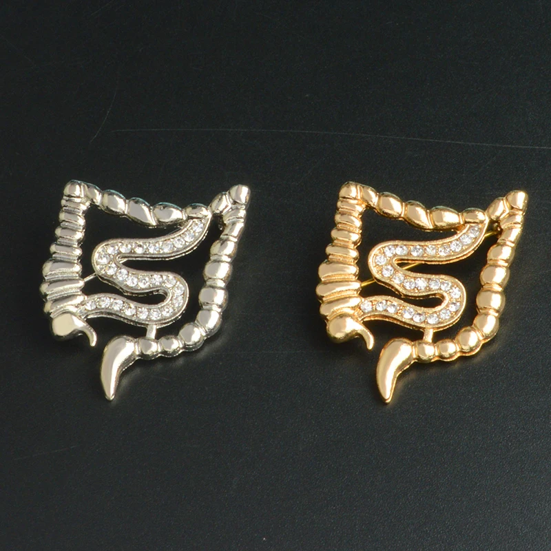 Buy Intestinal Brooch Metal Badge Gold Silver Organ Gastroenterology Pin
