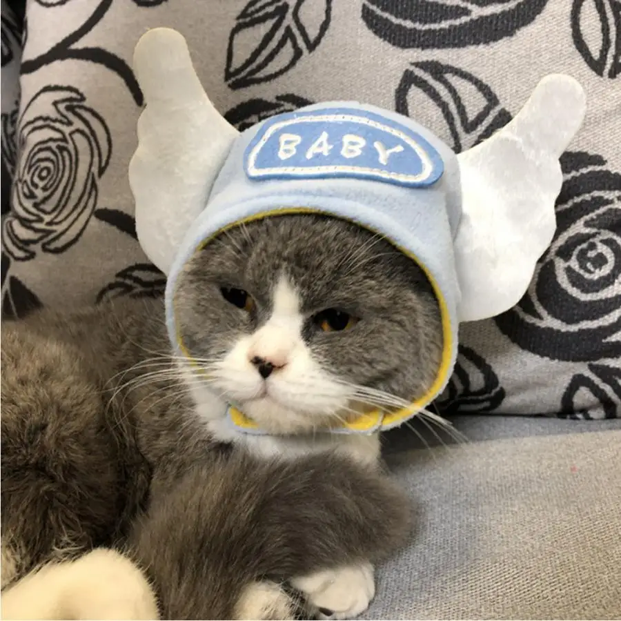 

Pet Dog Cap Cute Pet Cat Headwear Cap "Baby" Letters and Wings Decoration Hat Pet Costume Supplies
