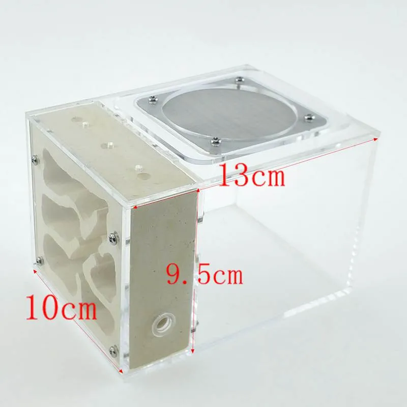 Маленький муравьиная колония акриловая штукатурка комбинированный гибридный гнездо муравьев ферма муравьев формациум коробка