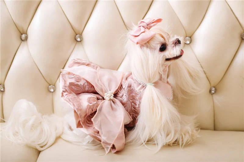 

High-end Luxury Emboridery Bow Tie Dresses Wedding Princess Banquet Dog Pet Clothes Clothing Autumn Chihuahua Yorkie Maltese
