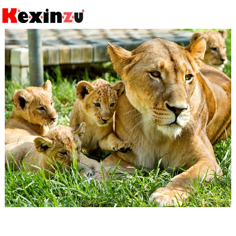 Kexinzu полный квадрат/круглый 5D Diy Алмазная картина крестиком &quotЖивотные льва&quot 3D