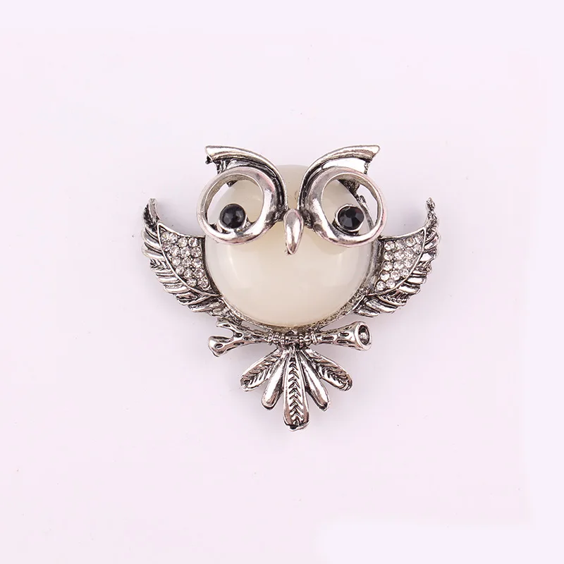 IMG_2601