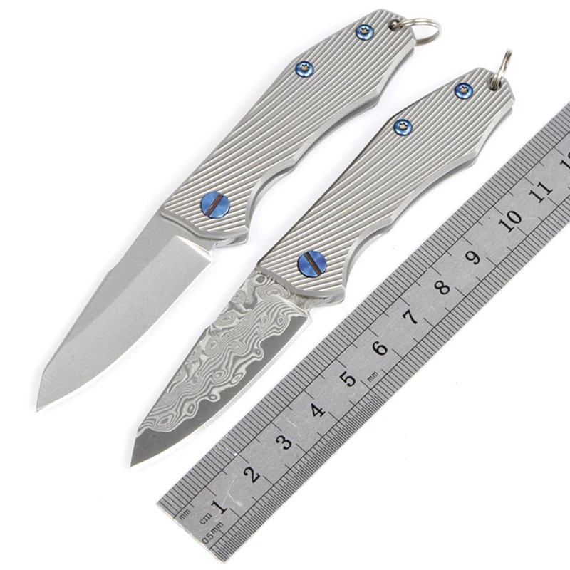 

Mini Folding Hunting Knife Stainless Steel Blade Titanium Handle Tactical Knife Outdoor Camping Survival Hand Tool Pocket Knives