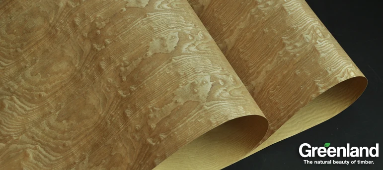 Chinese Ash